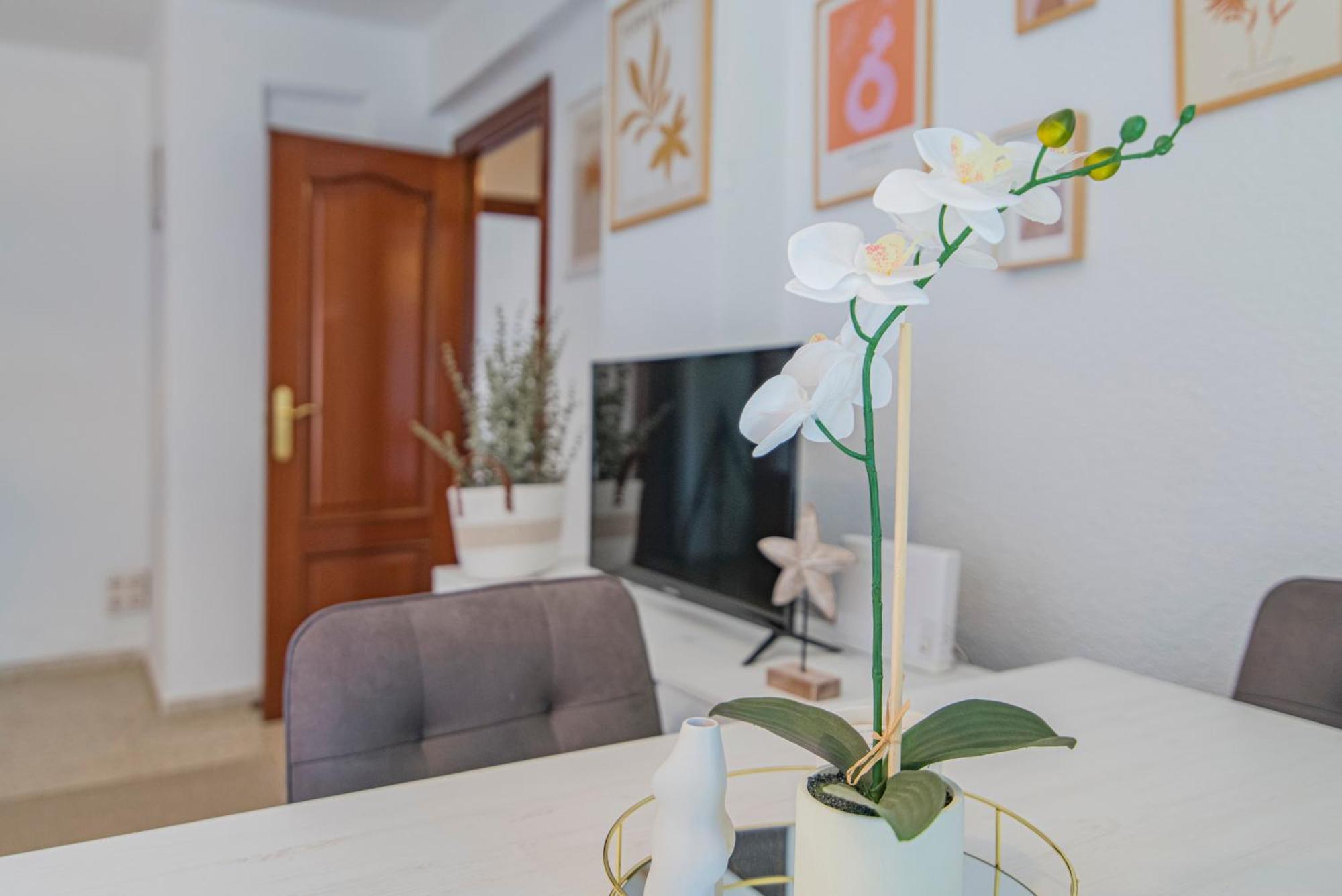 גרנדה Delfin Retreat Con Terraza Junto A Parada De Metro מראה חיצוני תמונה